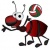 logo G.S. CAGLIERO